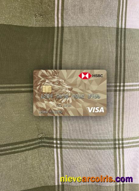 United Kingdom HSBC visa Gold credit card photolook